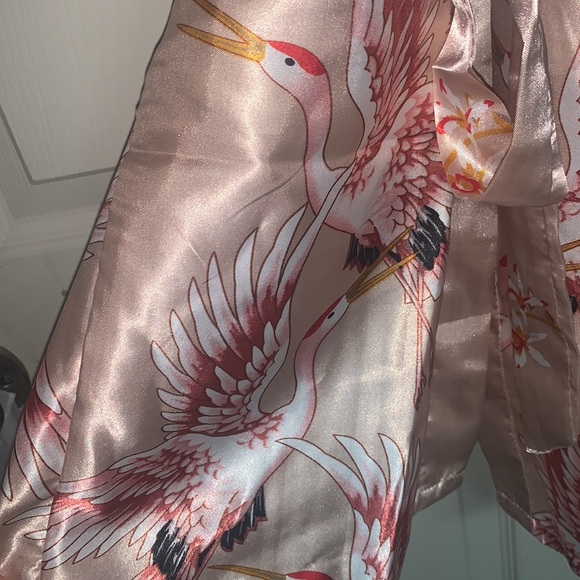 Pink Robe - Picture 3 of 5